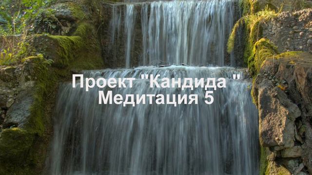 5 Проект _Кандида_