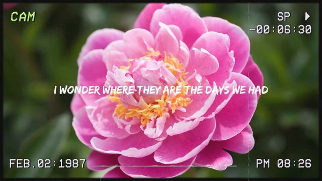 Best Romantic Love Songs 80s 90s - Best OPM Love Songs Medley - Non Stop Old Song Sweet Memories смотреть онлайн