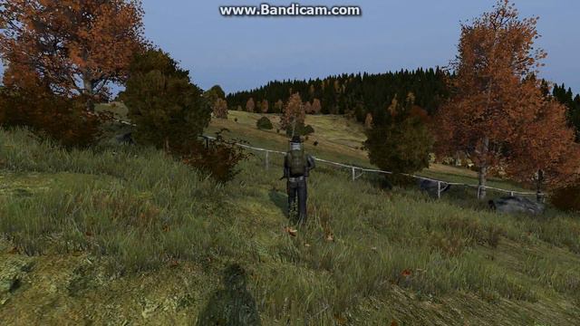 DayZ 2017 01 26 20 43 23 684 смотреть онлайн