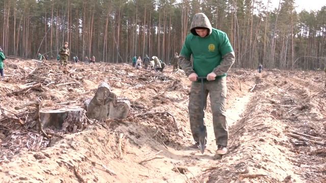 В Беларуси весной планируют высадить более 28 тыс. га леса смотреть онлайн