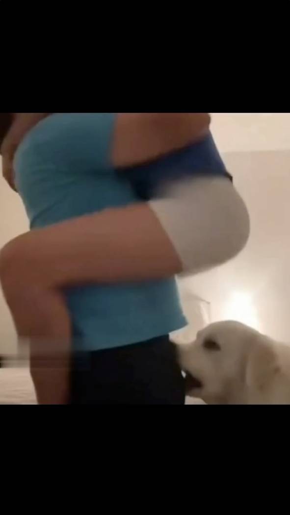 Смех до слез №48 - Лучшие Приколы 2024 #Шортс #Ютубшортс #Смех #Приколы #Мемы #Shorts смотреть онлайн