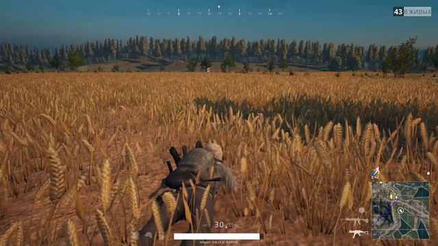 Ламповый разговор об APIdog смотреть онлайн