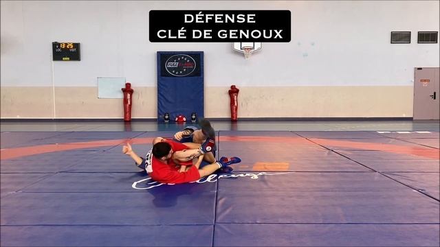 TECHNIQUES SAMBO - CEINTURE ORANGE смотреть онлайн