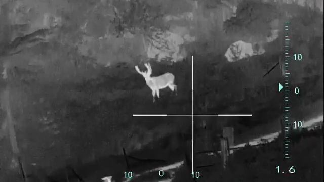 NNPO thermal scope,hunting laser rangfinder смотреть онлайн