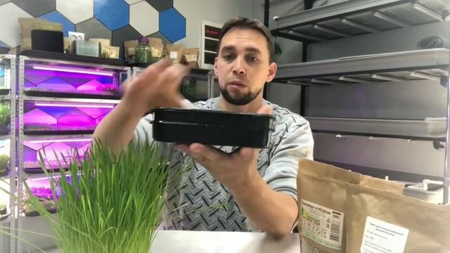 КАК ЛЕГКО ВЫРАСТИТЬ ТРАВКУ ДЛЯ ПИТОМЦА. ИЗ ЧЕГО СОСТОИТ СМЕСЬ СЕМЯН ДЛЯ ПОДКОРМКИ ДОМАШНИХ ЖИВОТНЫХ смотреть онлайн