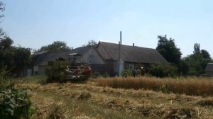 Мини Комбайн для Уборки Пшеницы | Small Harvester Wheat Home