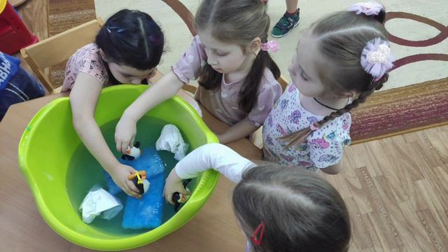 Проект в средней группе "Арктика и Антарктика" смотреть онлайн