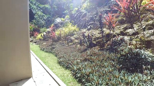 Самуи аренда чавенг таунхаус с видом на море смотреть онлайн