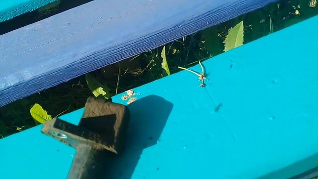 Мигает чек  и дёргается ВАЗ 2110 при движении проблемма в датчике коленвала ??? Часть 1