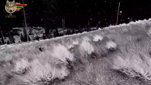 Wolfquest - Anniversary Edition - First 30 Mins смотреть онлайн