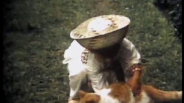 VTS 040 смотреть онлайн