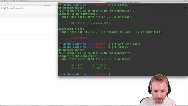 Working on Team Projects in Adobe Audition Using Git смотреть онлайн