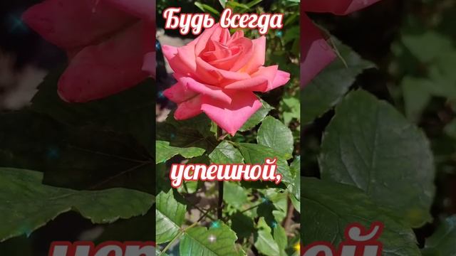 С Добрым Утром!С Днем Рождения Доченька 27 Июля!Красивое Поздравление С Днем Рождения для доченьки! смотреть онлайн