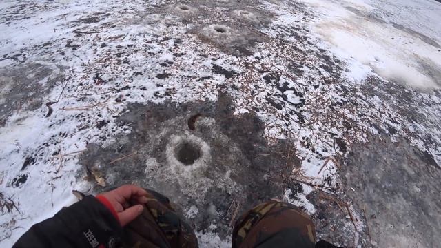 Зима . Ловля Ротана . Ондатра и прочие радости . смотреть онлайн