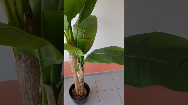 Vivetochka искусственное банановое дерево смотреть онлайн