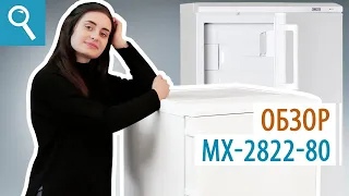 МХ - 2822 - 80 — обзор модели. Обзор холодильника с верхней морозильной камерой.