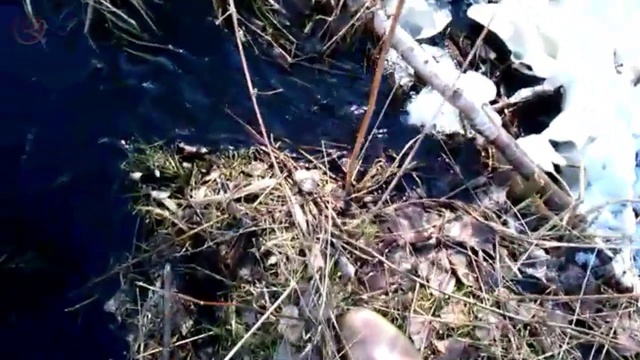 плотина  туризм