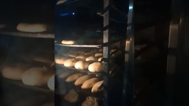 Печь газовая ротационная МУССОН-ротор 77МР-01 смотреть онлайн