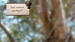 Певчие цикады: почему и как поют цикады? Интересная информация о цикадах, и пение цикад.