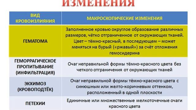 Кровотечения, кровоизлияния смотреть онлайн