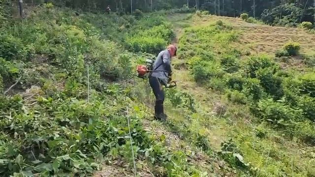 Наш клиент работает на покосе травы в Корее смотреть онлайн