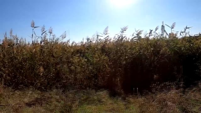 Как сделать так, чтобы он вас уважал. смотреть онлайн