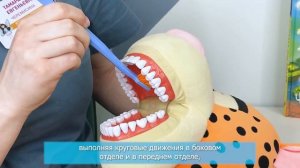 Техника чистки зубов мануальной щеткой