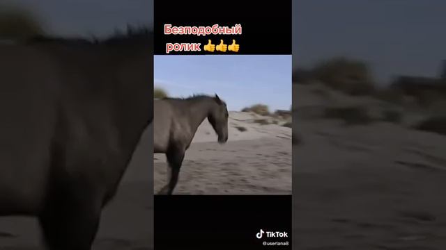 12 января 2021 г. смотреть онлайн