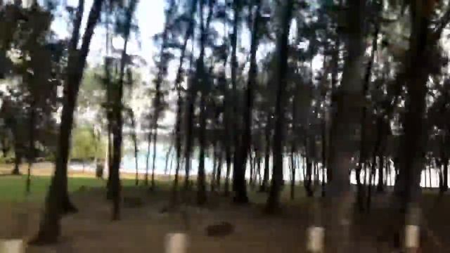 Mauritius Airport to Resort смотреть онлайн