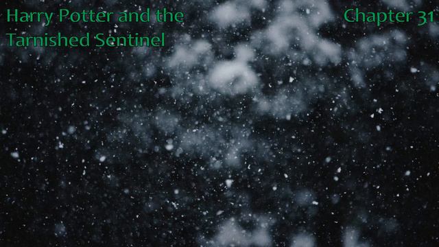 LW2-31 Harry Potter and the Tarnished Sentinel Ch31 смотреть онлайн