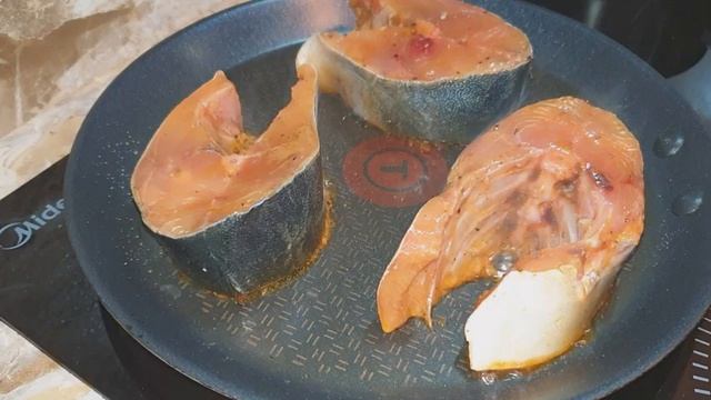 Забавные Моменты с Животными