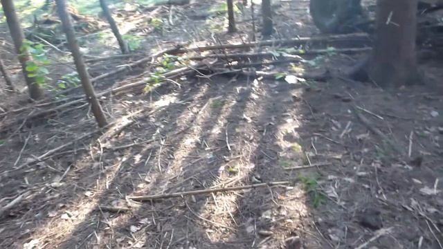 Рожайка P1000821 смотреть онлайн