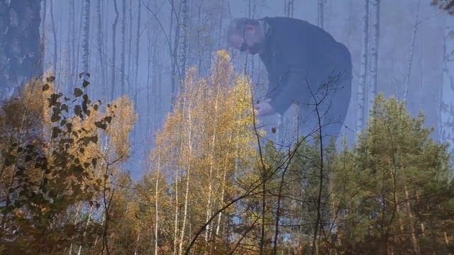Pilze nach dem Frost Der Schwarzfaserige Ritterling смотреть онлайн