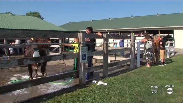 WRTV News at 11 | Sunday, July 18, 2021 смотреть онлайн