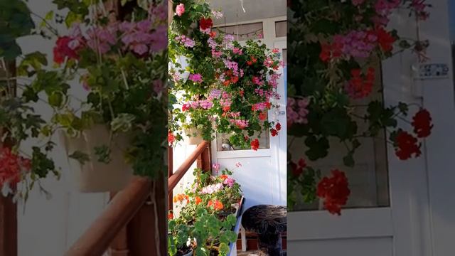 Как можно украсить своё крыльцо. смотреть онлайн