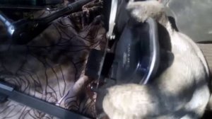 замена масла в акпп mazda demio