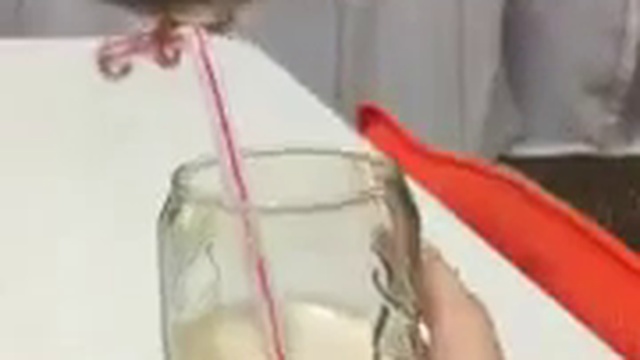 Птичка на соломинке смотреть онлайн