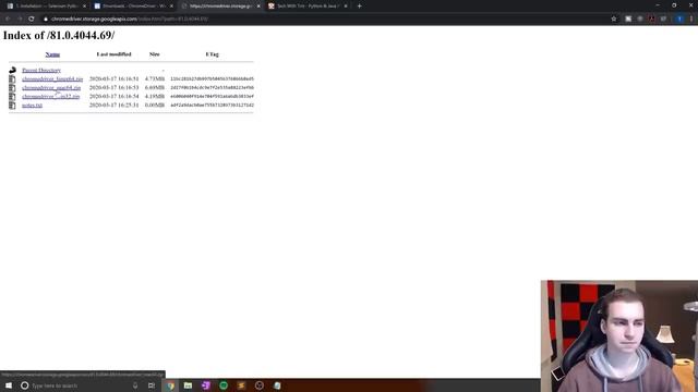 Python Selenium Tutorial #1 - Web Scraping, Bots & Testing смотреть онлайн
