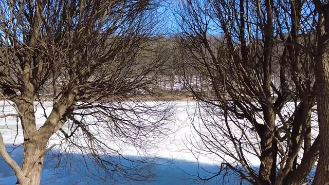 Врач частной клиники думал, что его никто не видит… Когда медсестра решила проследить за ним, ахнул смотреть онлайн