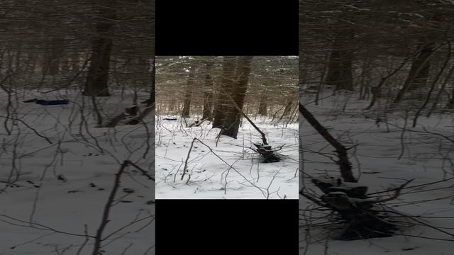 Вася и Салли