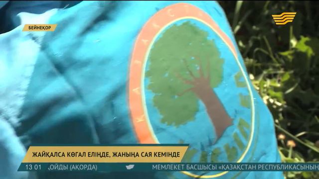 «Жасыл ел» идеясы 10 жылда 48 миллион түп көшет отырғызды смотреть онлайн