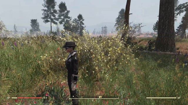 AoS - Age of Solstice. Fallout76 nature overhaul mod. Location: Cranberry Bog смотреть онлайн