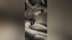 Ховер H2.  Снятие стартера