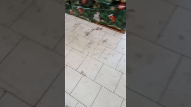 Дикси Юг Мурманск смотреть онлайн