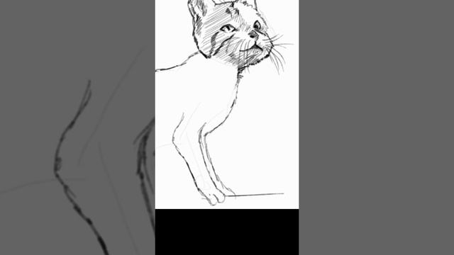 Cat - JPG's drawing exercise смотреть онлайн