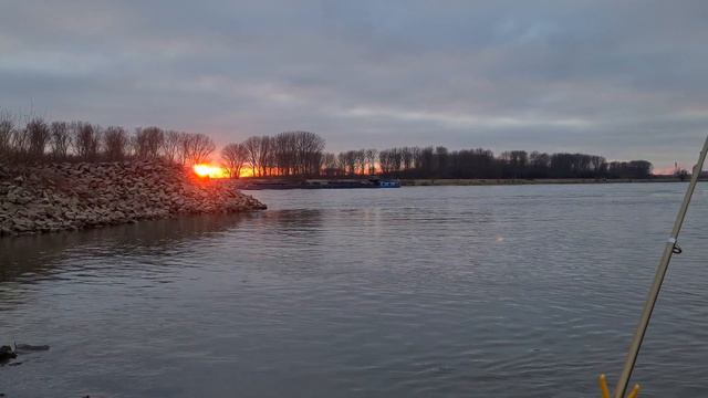 Рейн 24.01.2022. Приятный вечер на Рейне. Рейн в январе. Красивый закат. смотреть онлайн