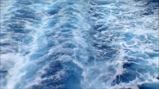 АЛЕКСАНДР НОВИКОВ 