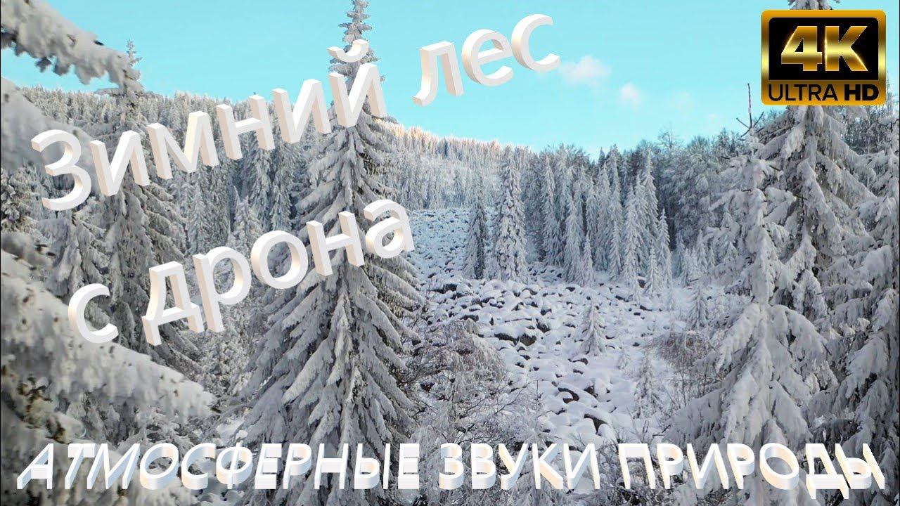 ЗИМНИЙ ЛЕС ЗВУКИ ПРИРОДЫ | ПОЛЁТ НА ДРОНЕ НАД ЗИМНИМ ЛЕСОМ Снежный зимний лес Aakash Gandhi