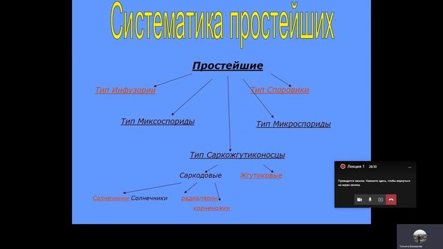 Видеолекция № 1 по биологии 7 класс смотреть онлайн