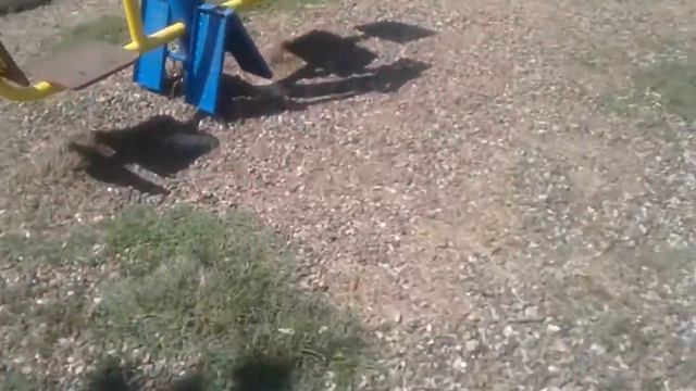 Шок !! Мёртвая змея на плашадке !!😨😨😨 смотреть онлайн